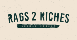 Rags2Riches_Rescue_SocialSharing-14